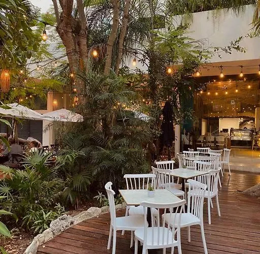 Unique In Playa - Walk To + 5th Avenue * Playa del Carmen